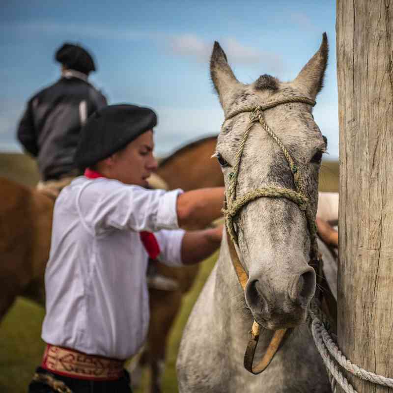 cabalgatas6